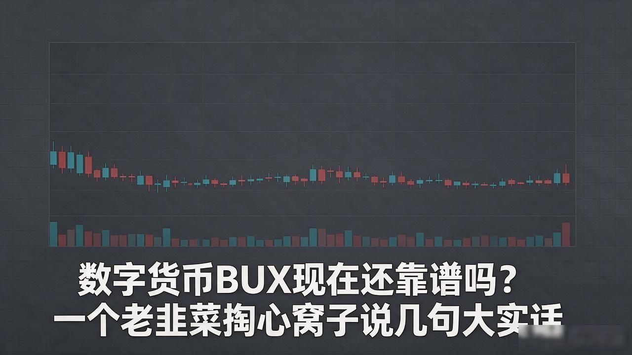 数字货币BUX_BUX代币真实评价与前景分析_BUX支付类代币风险解析